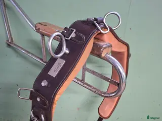 Övrig Hästutrustning hästutrustning Tömkörningsgjord i Forsheda - Annons 10