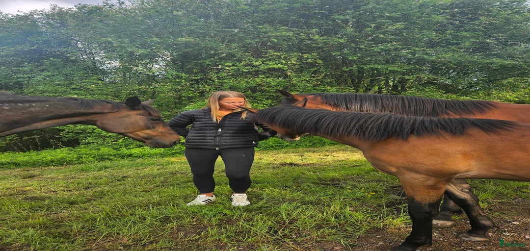 Galleribild {{count}}