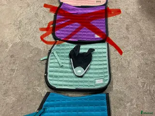 Schabrak & Vojlockar hästutrustning till salu: Equito i Skara - Annons 4