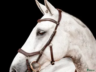 Träns hästutrustning Brunt Micklem träns i Lerum - Annons 9