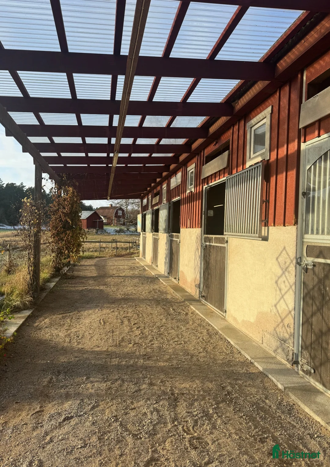  stallplats finnes: Lösdrift m. fullservice för unghingst/valack f.-25 - Annons 1