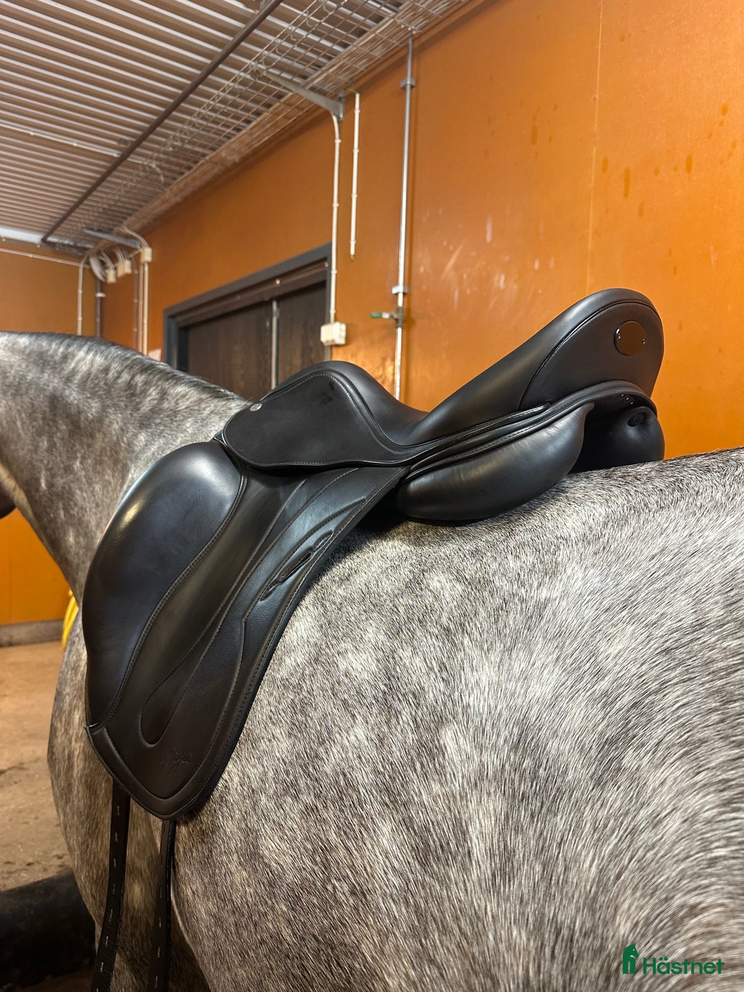 Sadlar hästutrustning till salu: Equipe Oracle i Nyskick i Norra Sorunda - Annons 5