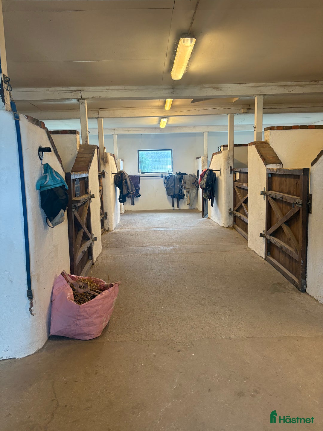  stallplats finnes: Stallplats finns för ett sto från 1 december  i Vikingstad - Annons 3