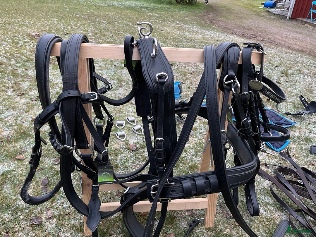 Körselar körning till salu: Parselar ponny Ideal i Västra Ämtervik - Annons 4