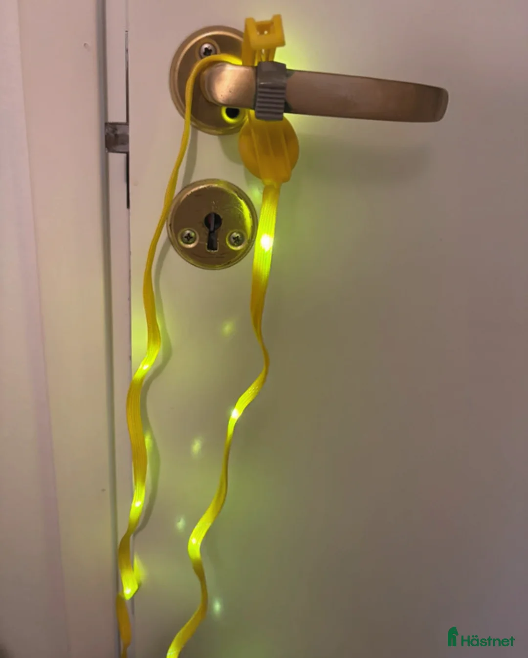 Övrig utrustning övrig utrustning till salu: Gul svansreflex i Villands Vånga - Annons 2