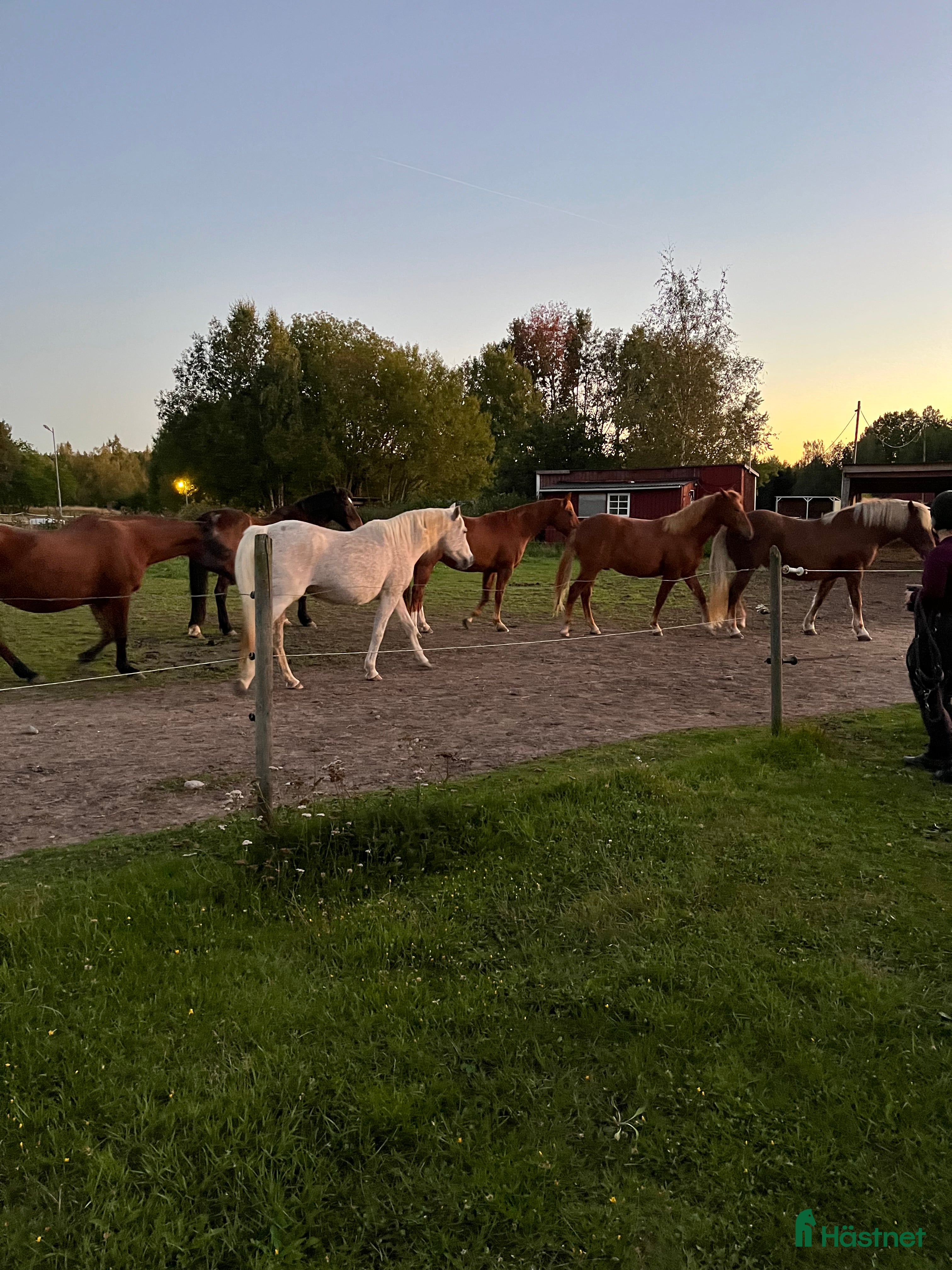 stallplats finnes: Lösdrift i Skeda Linköping i Vikingstad - Annons 2