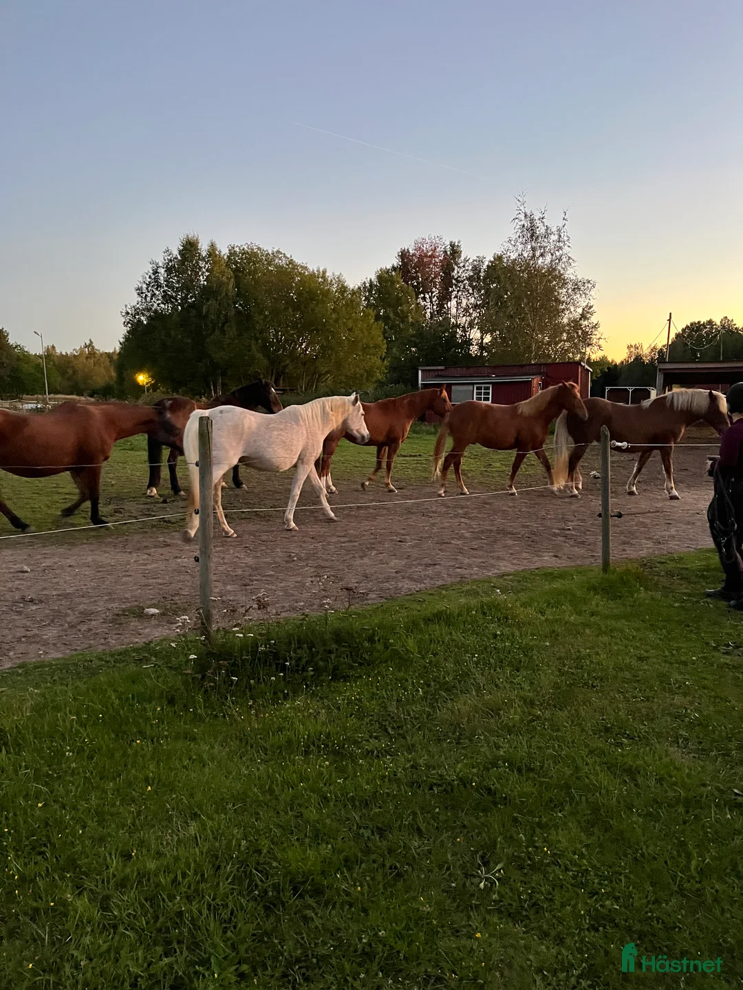  stallplats finnes: Lösdrift i Skeda Linköping i Vikingstad - Annons 1