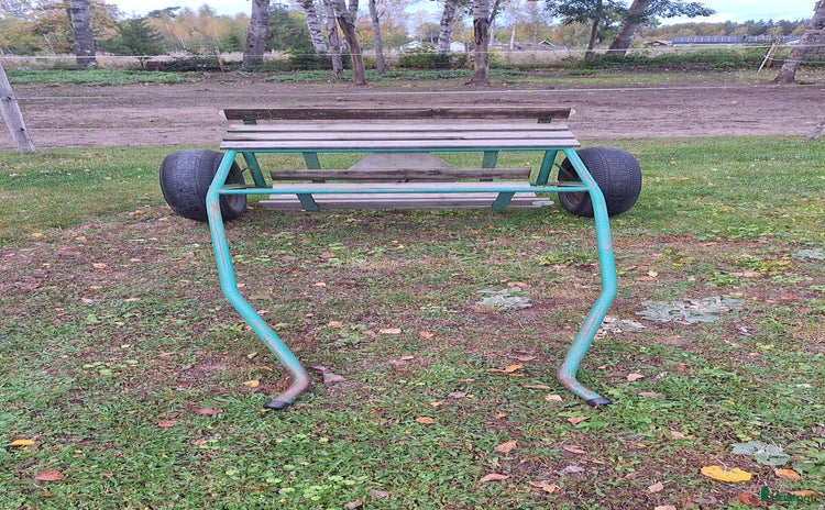 Körvagnar körning till salu i Vikingstad - Annons 19