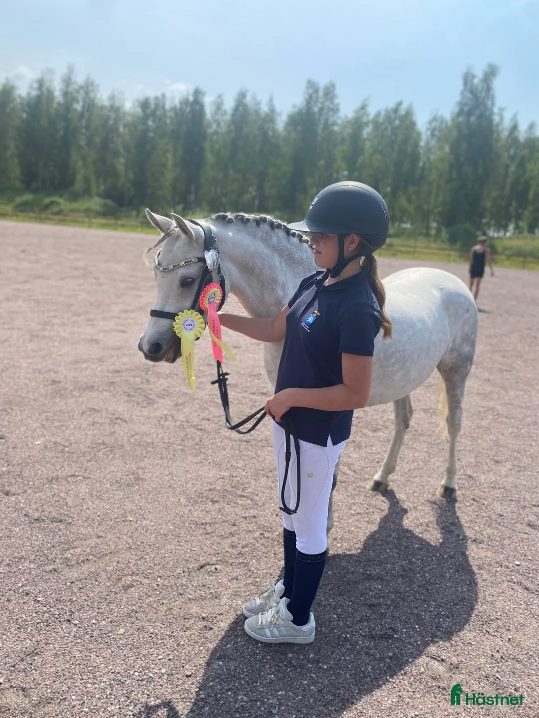 Allround hästar till salu: Trevlig vänlig allround ponny i Kil - Annons 1