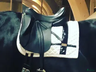 Sadlar hästutrustning Connector i Täby - Annons 3