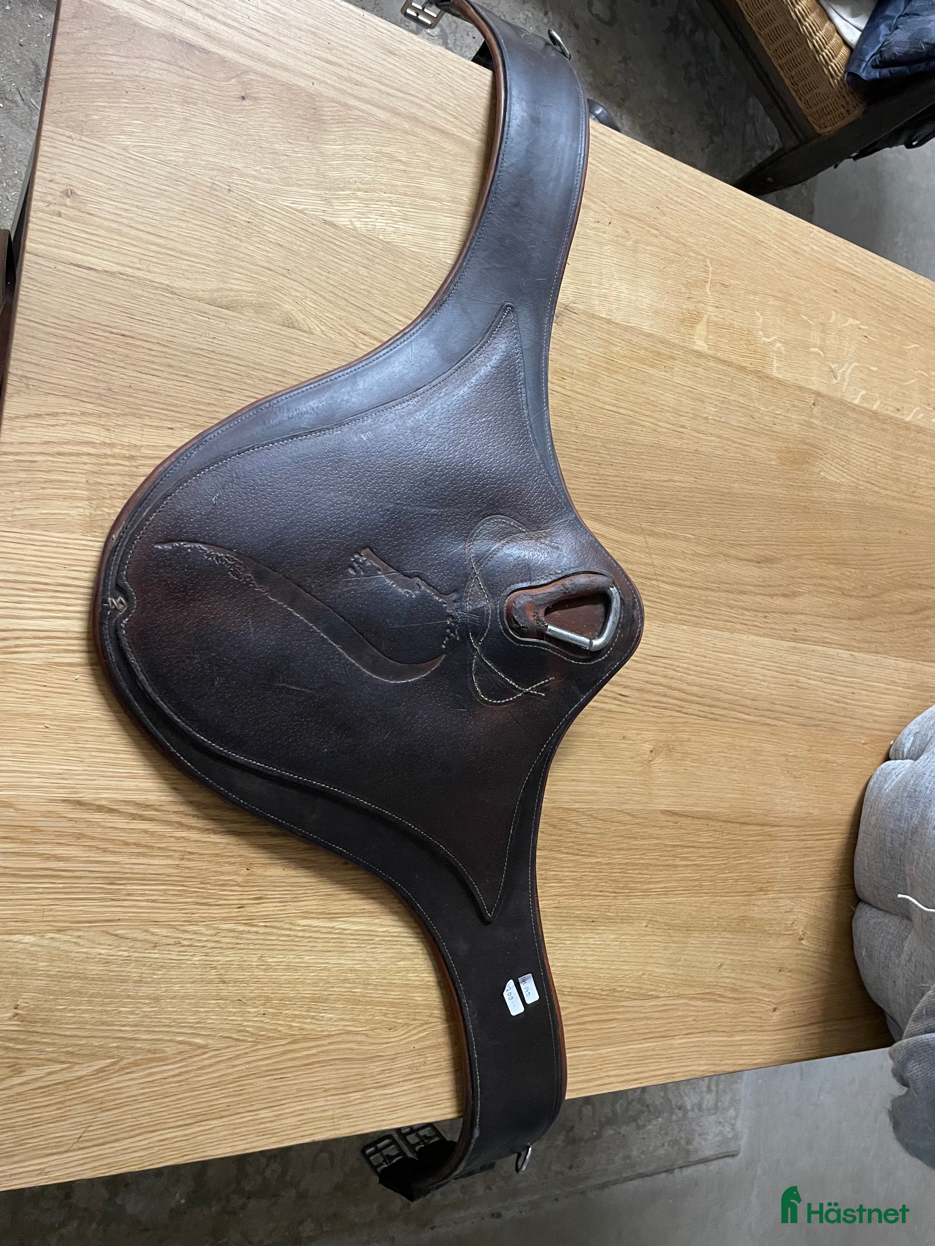 Sadeltillbehör hästutrustning till salu: Antares Magplatta  i Uppsala - Annons 21