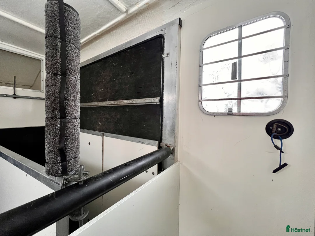 Hästlastbilar  fordon & transport till salu: Peugeot Boxer Equitrek B-kortslastbil - Annons 8