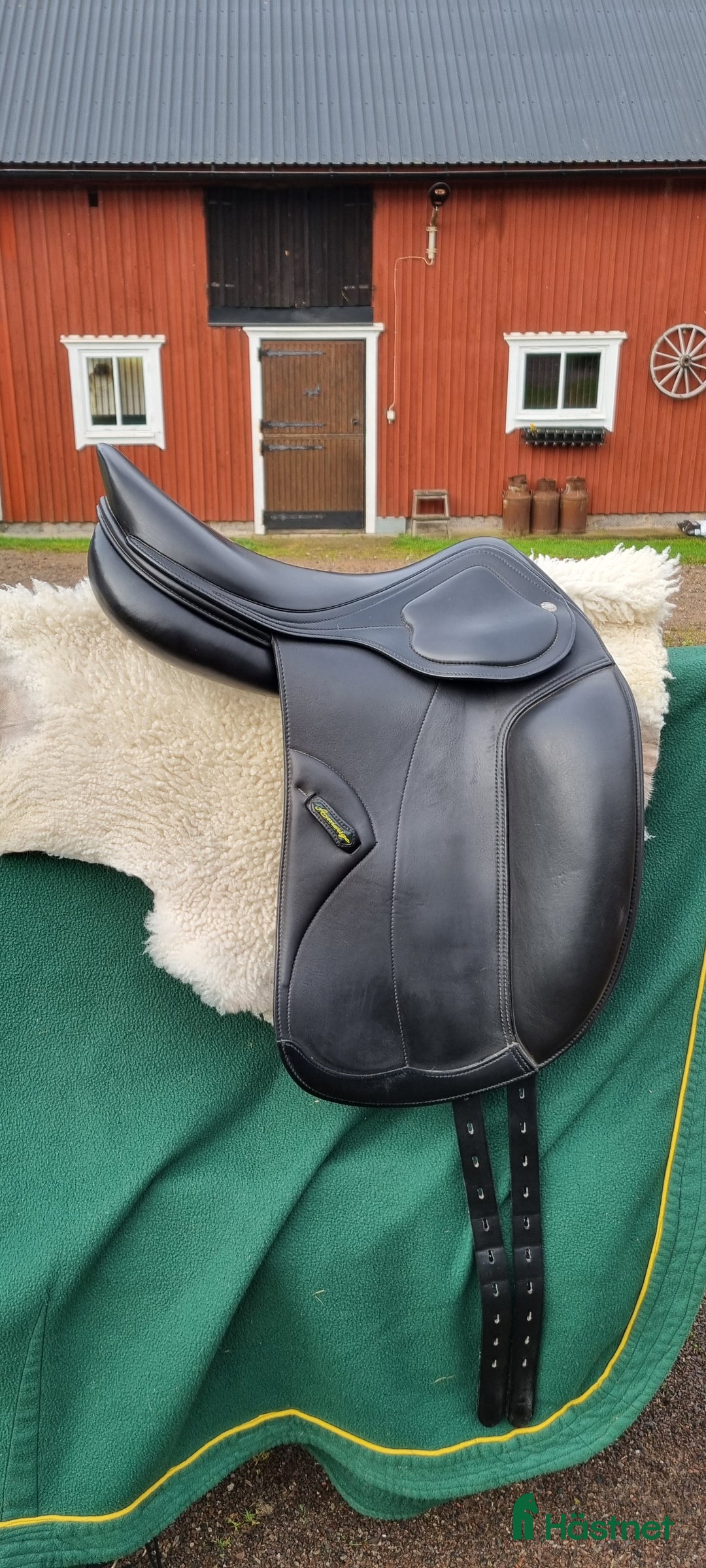 Sadlar hästutrustning till salu: Fin Amerigo DJ pinerolo i Nybro - Annons 3