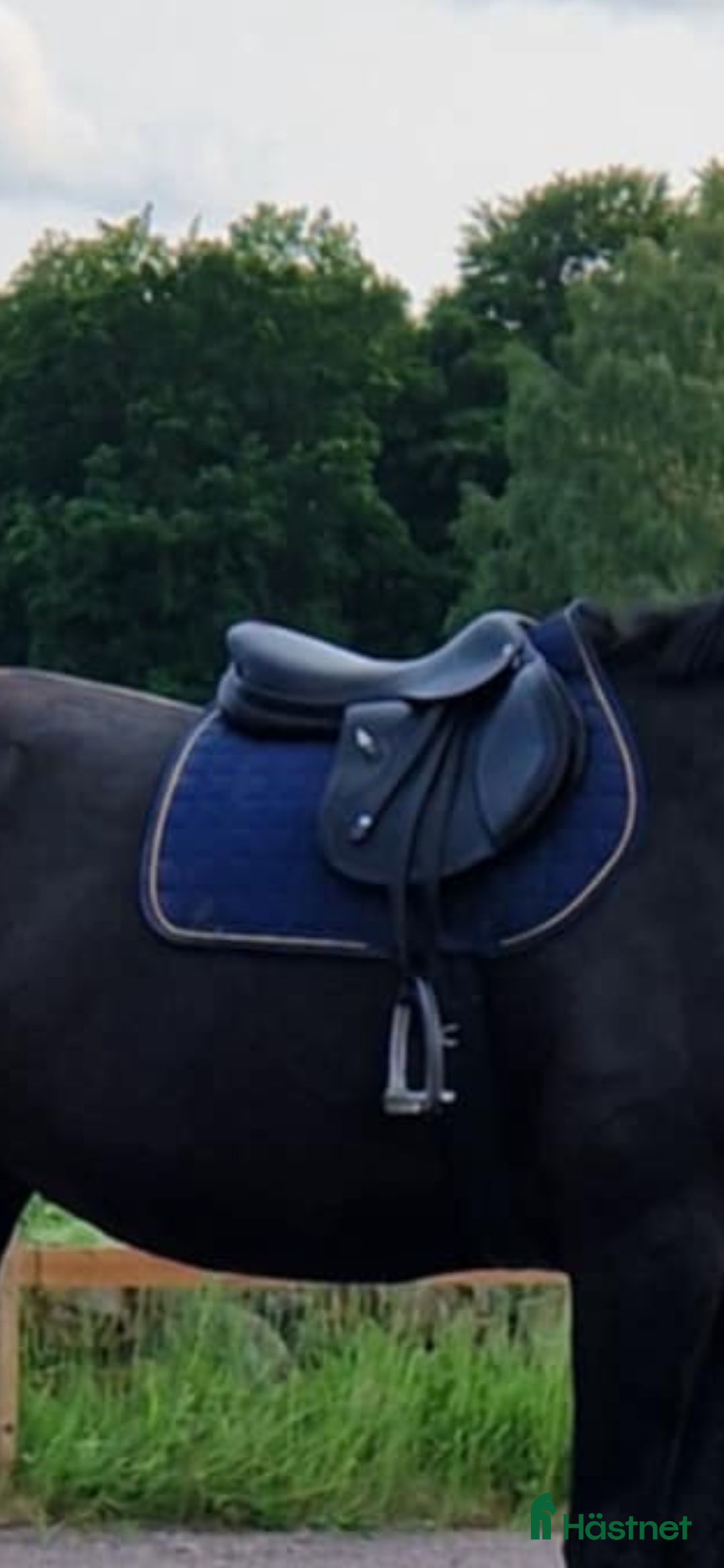 Sadlar hästutrustning till salu: Equipe synergy i Knislinge - Annons 4