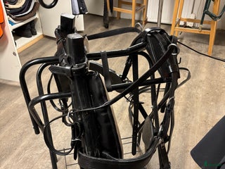 Körselar körning till salu: Loksele ponny i Njutånger - Annons 1