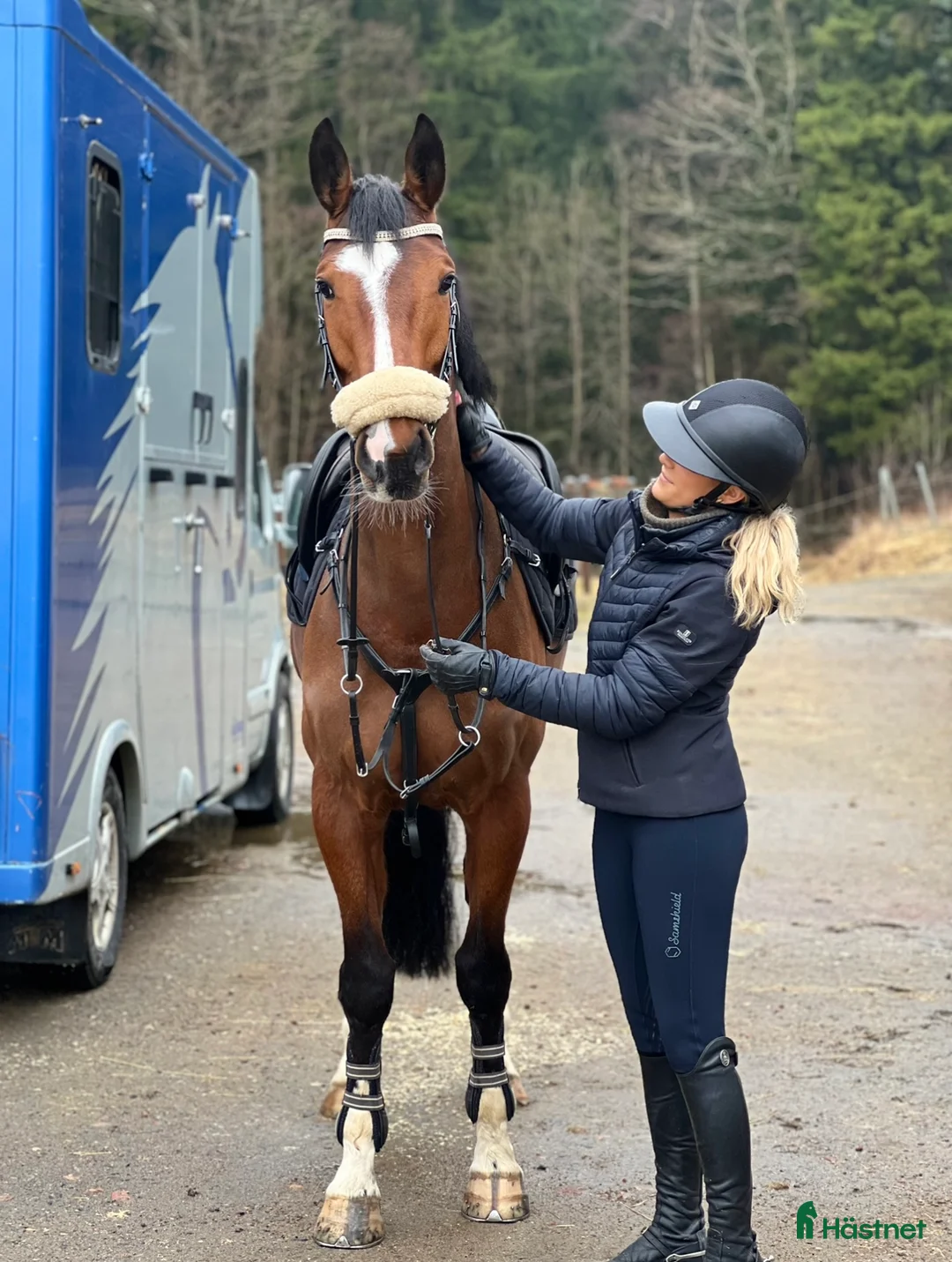Hoppning hästar till salu: Het och framåt hopphäst  - Annons 1