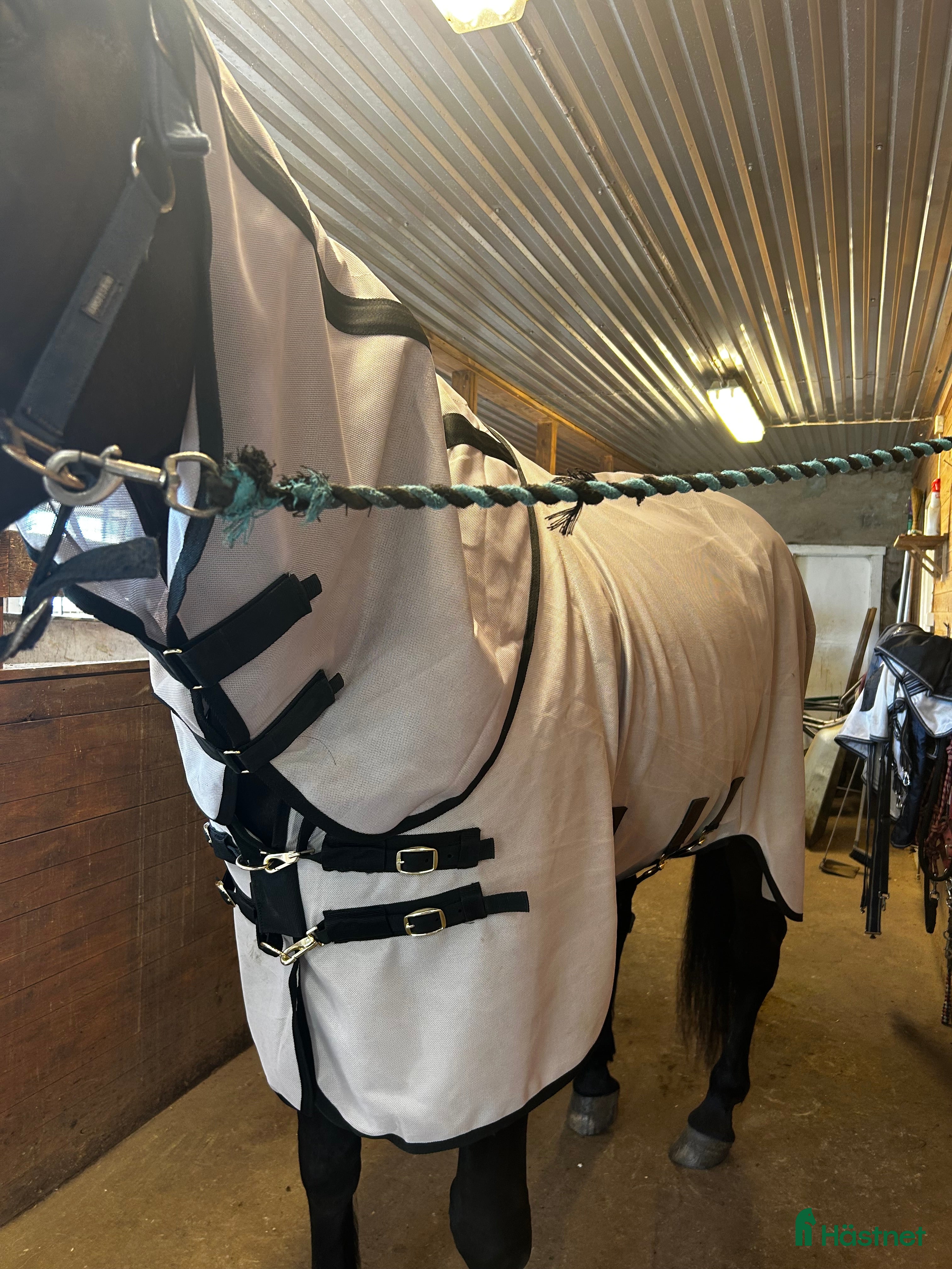 Täcken hästutrustning Kentuckey Flugtäcke - Annons 1