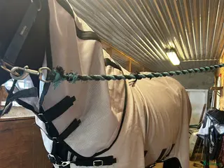 Täcken hästutrustning Kentuckey Flugtäcke - Annons 1