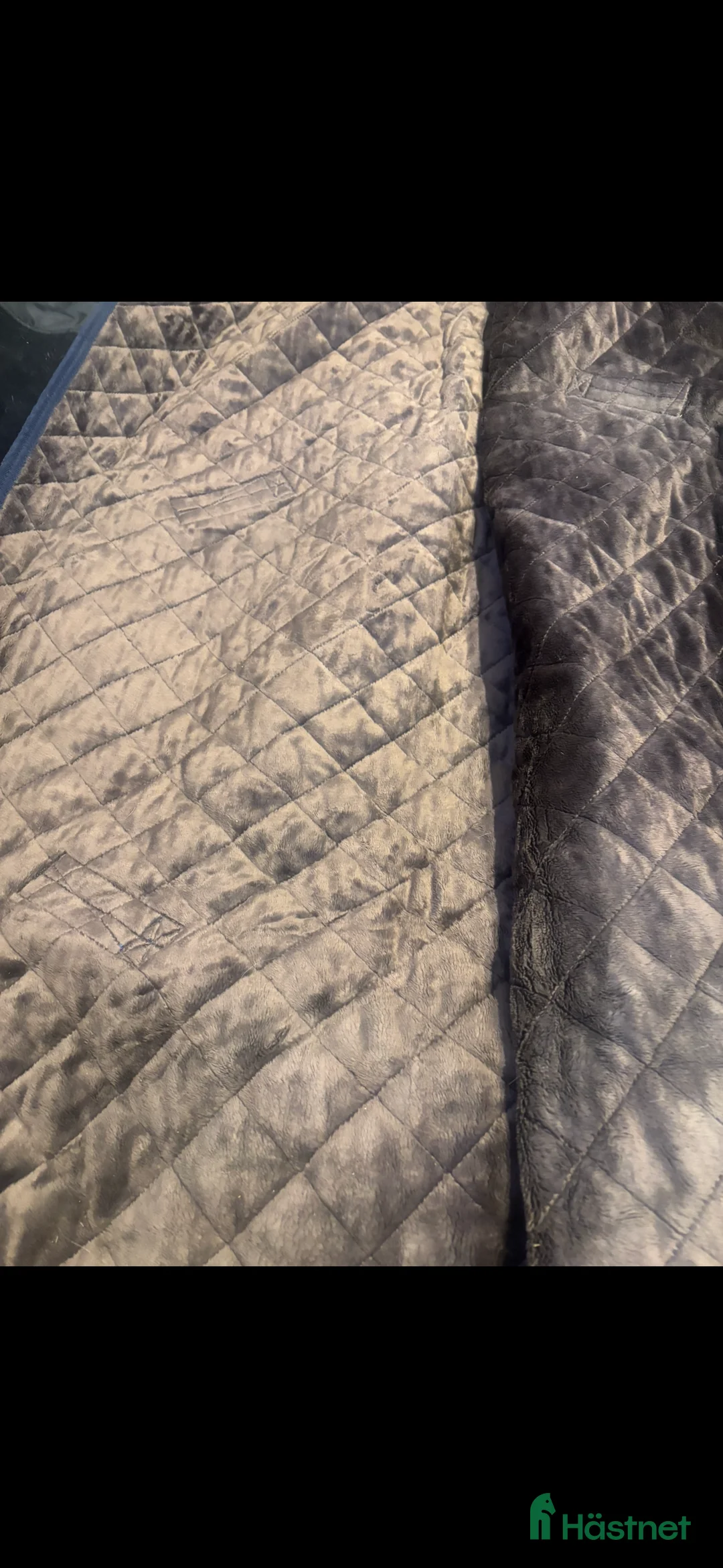 Täcken hästutrustning till salu: Kentucky Stalltäcke 160g  - Annons 4