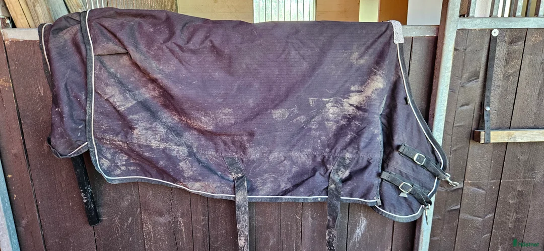 Övrig Hästutrustning hästutrustning till salu: Massa ponny saker i Vingåker - Annons 9