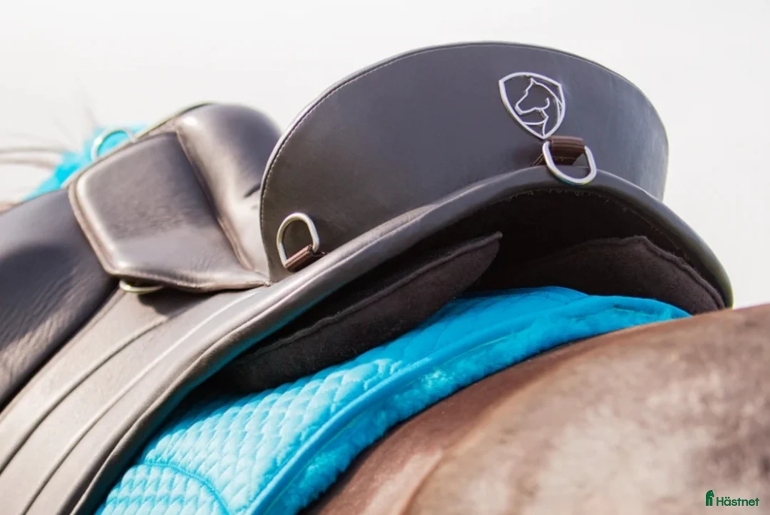 Sadlar hästutrustning till salu: Fin Edix Union  - Annons 5