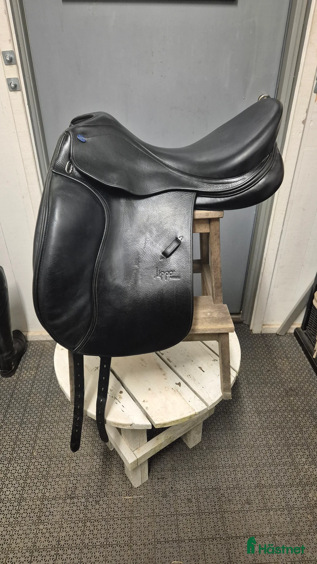 Sadlar hästutrustning till salu: Lippo Azzario Alto  i Halmstad - Annons 1