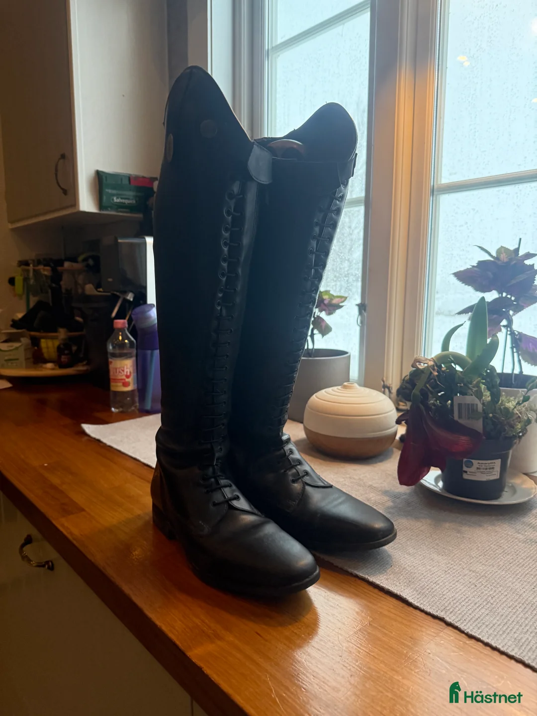 Ridstövlar ryttarutrustning till salu: Ridstövlar  - Annons 1