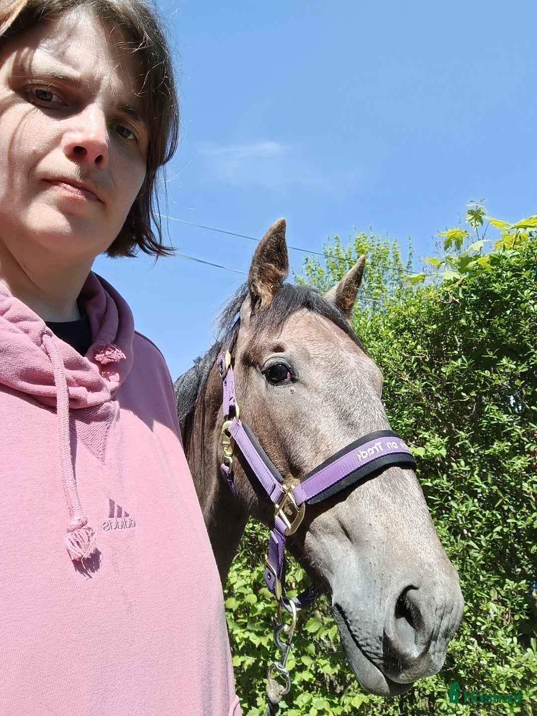  hästjobb finnes: Stalljobb sökes. - Annons 2