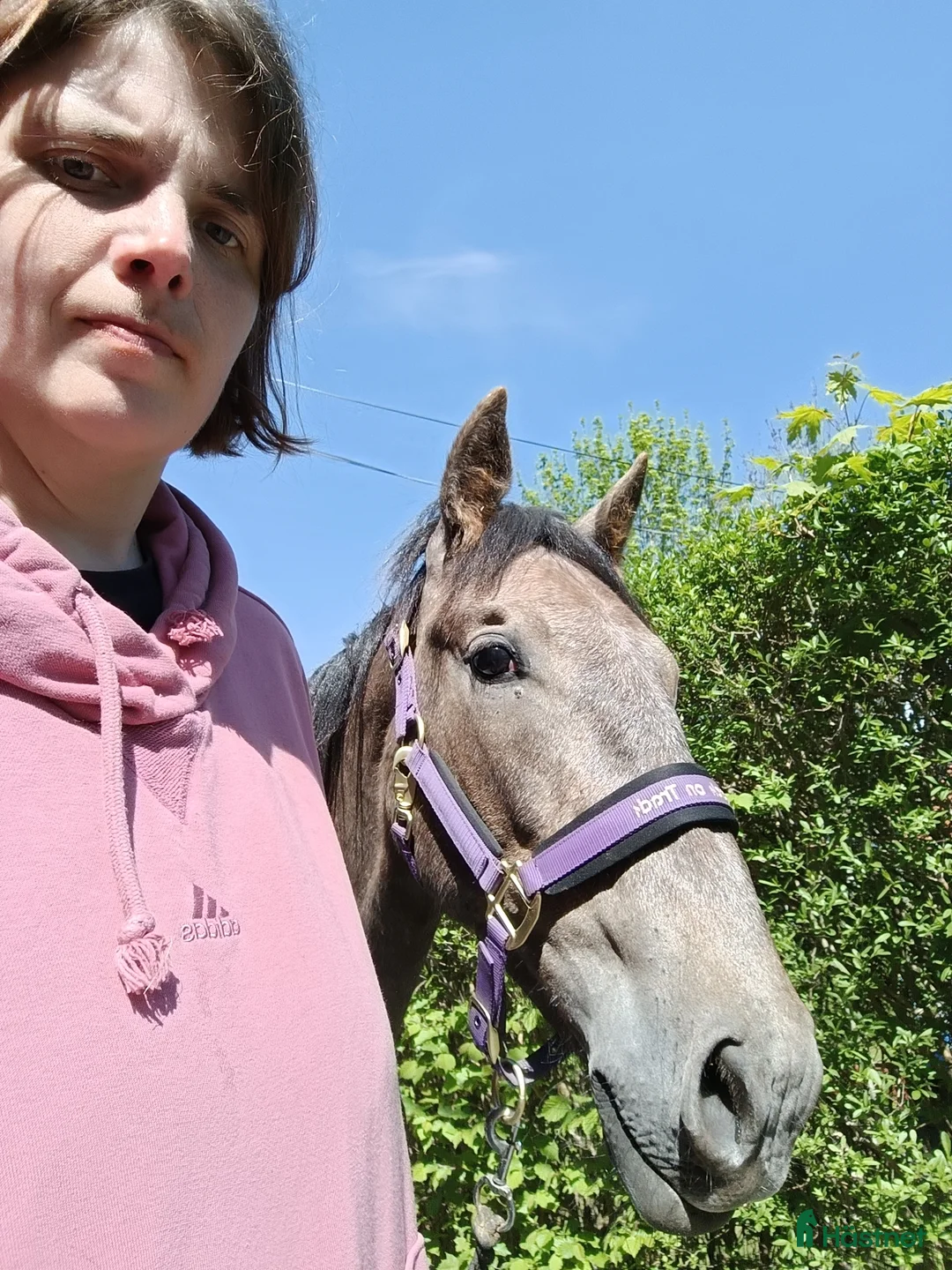  hästjobb finnes: Stalljobb sökes. - Annons 2