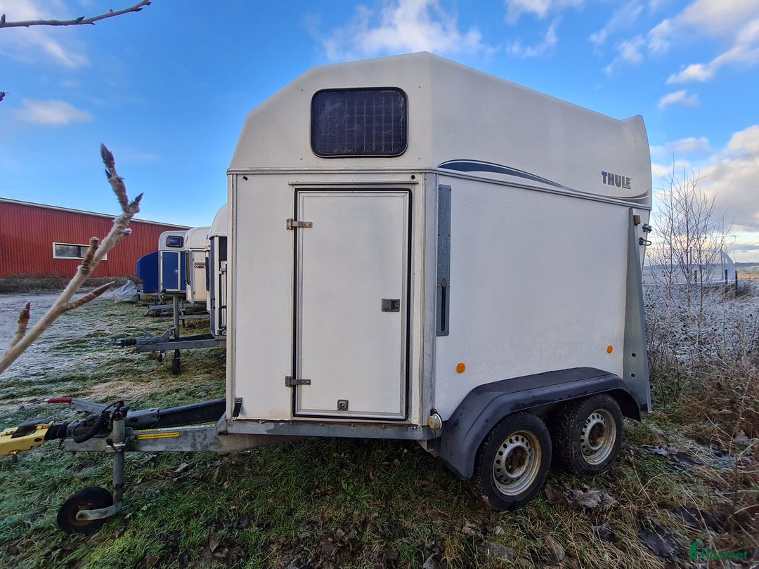 Hästtransporter  fordon & transport till salu: Hästtransport Thule  i Borensberg - Annons 8