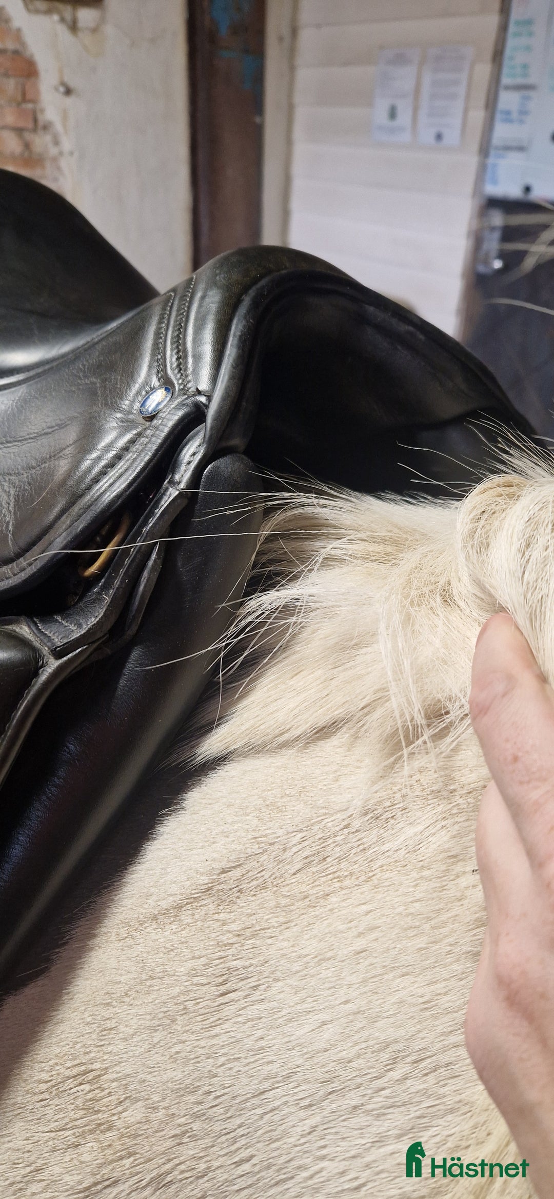 Sadlar hästutrustning till salu: Hrimnir Master  i Slöinge - Annons 4