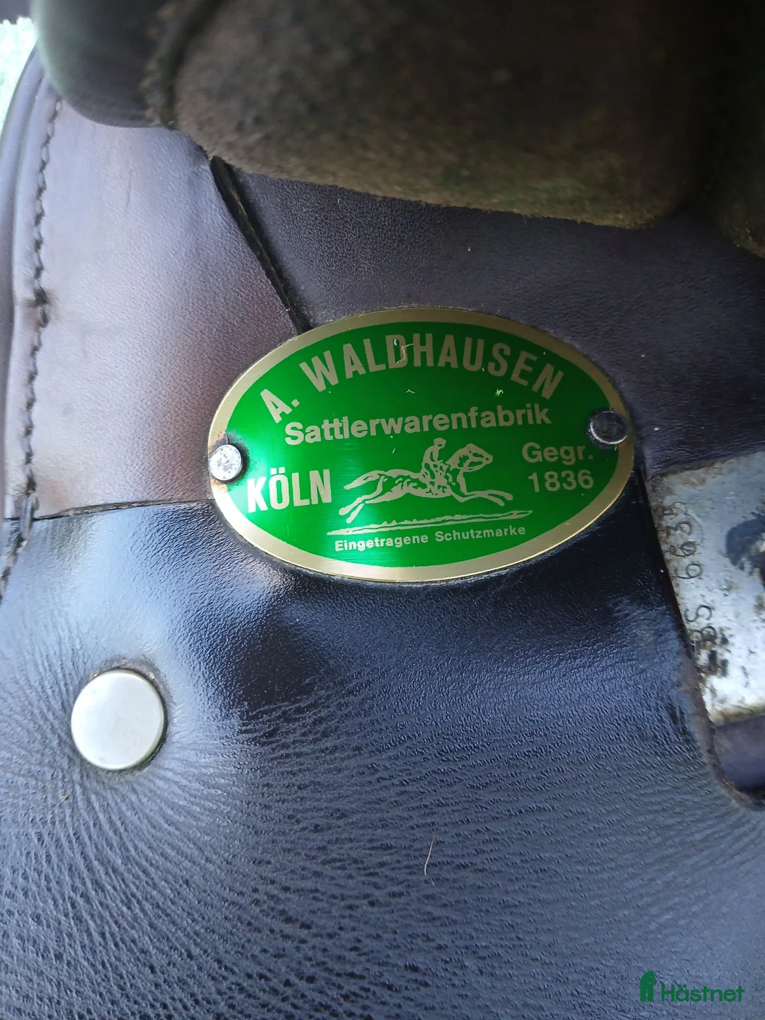 Sadlar hästutrustning till salu: A Waldhausen islandssadel  - Annons 5