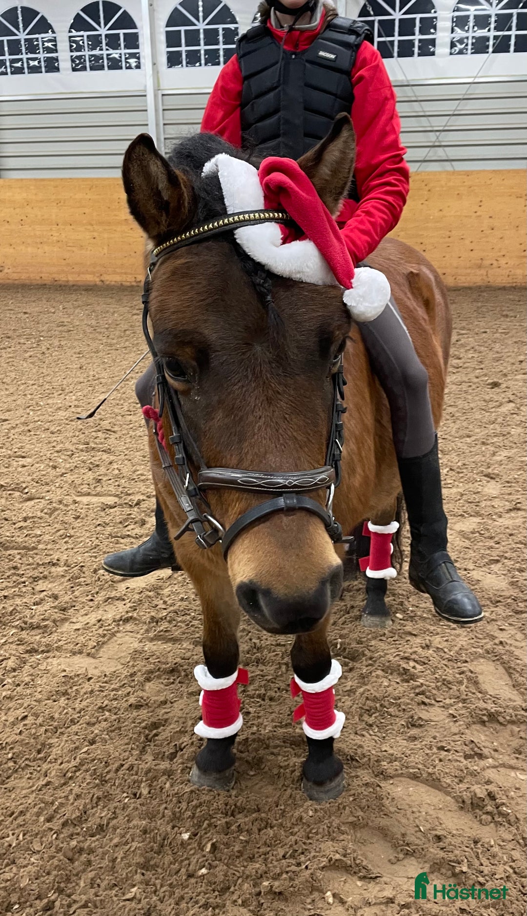  medryttarhäst finnes: Medryttarhästar och ponnyer finns i Rosersberg - Annons 2