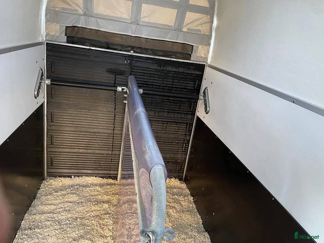 Hästtransporter  fordon & transport till salu: Böckmann Duo 2017 i Stockholm - Annons 6