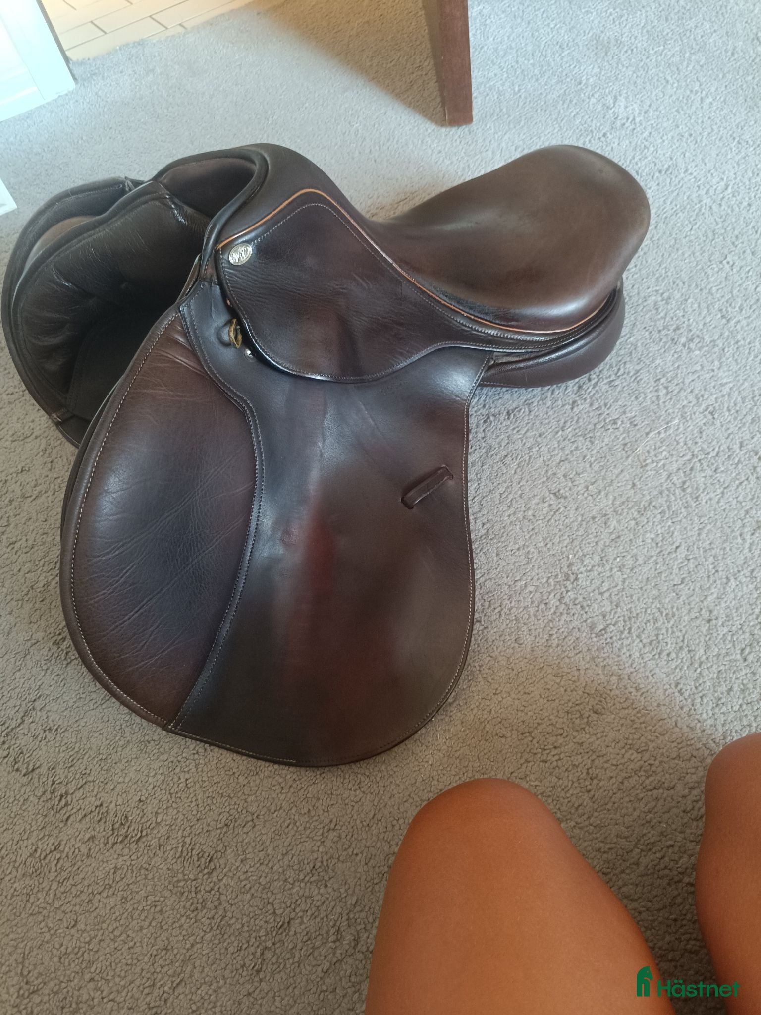 Sadlar hästutrustning Lippo Marcello hoppsadel brun 16,5" - Annons 3