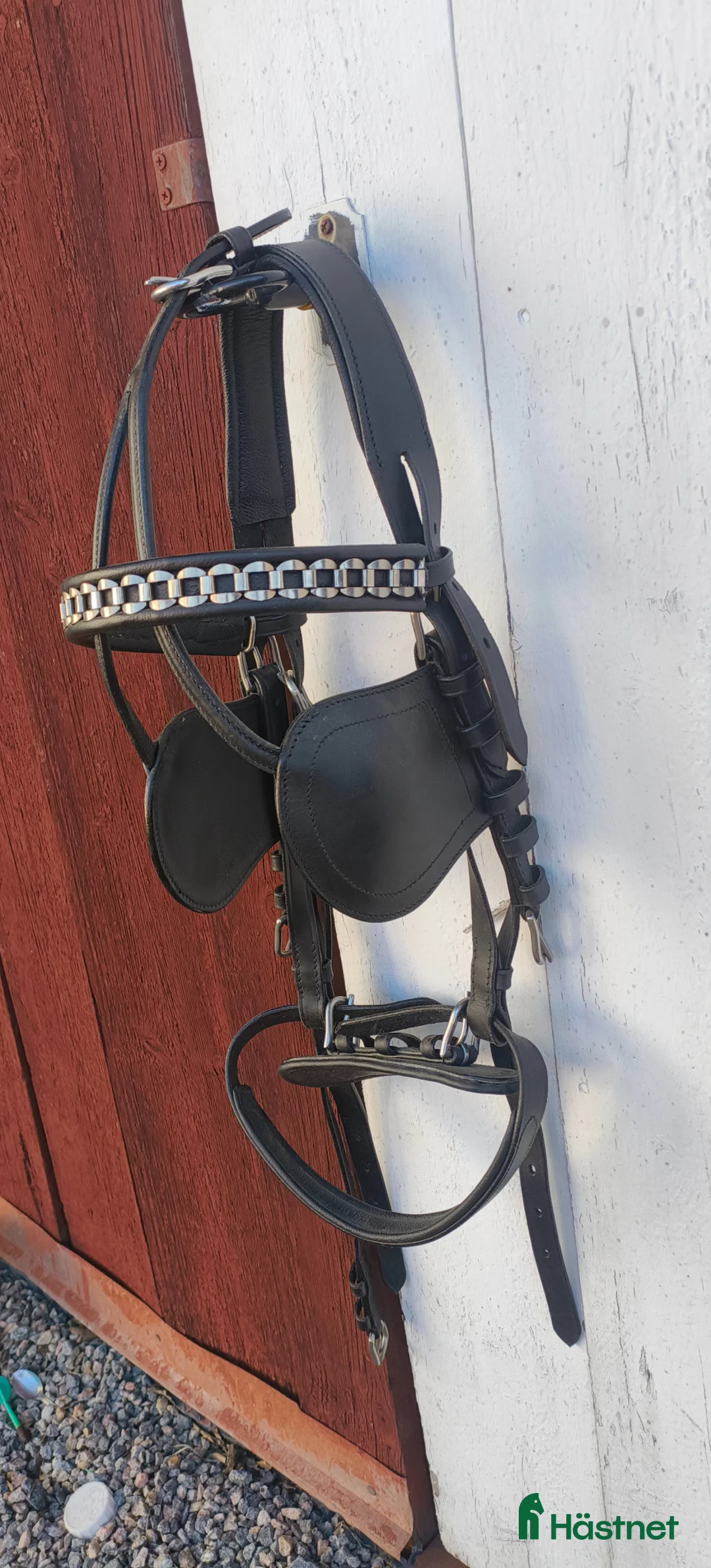 Övrig Körutrustning körning till salu: Huvudlag för körning i storlek Cob - Annons 2