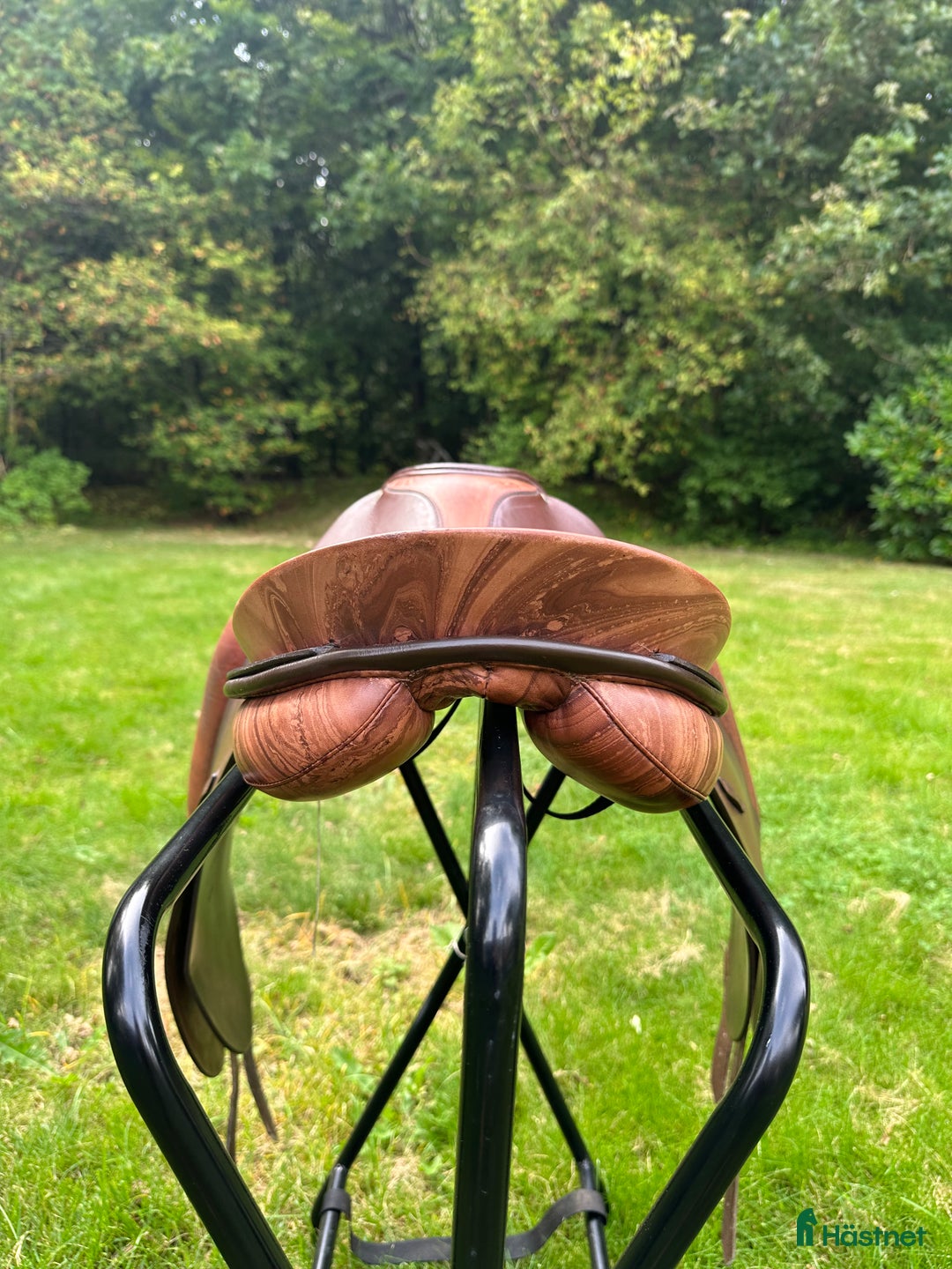 Sadlar hästutrustning till salu: Passier Hannover Antares i Perstorp - Annons 5