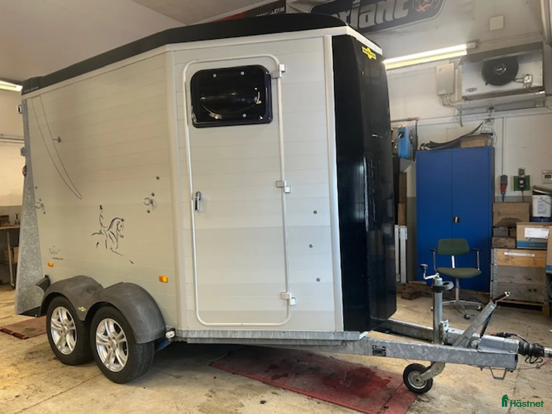 Hästtransporter  fordon & transport till salu: Humbaur Notos ALU -17 - Annons 1