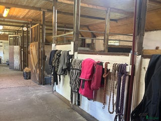 stallplats finnes: Stallplats finns i Glumslöv - Annons 1