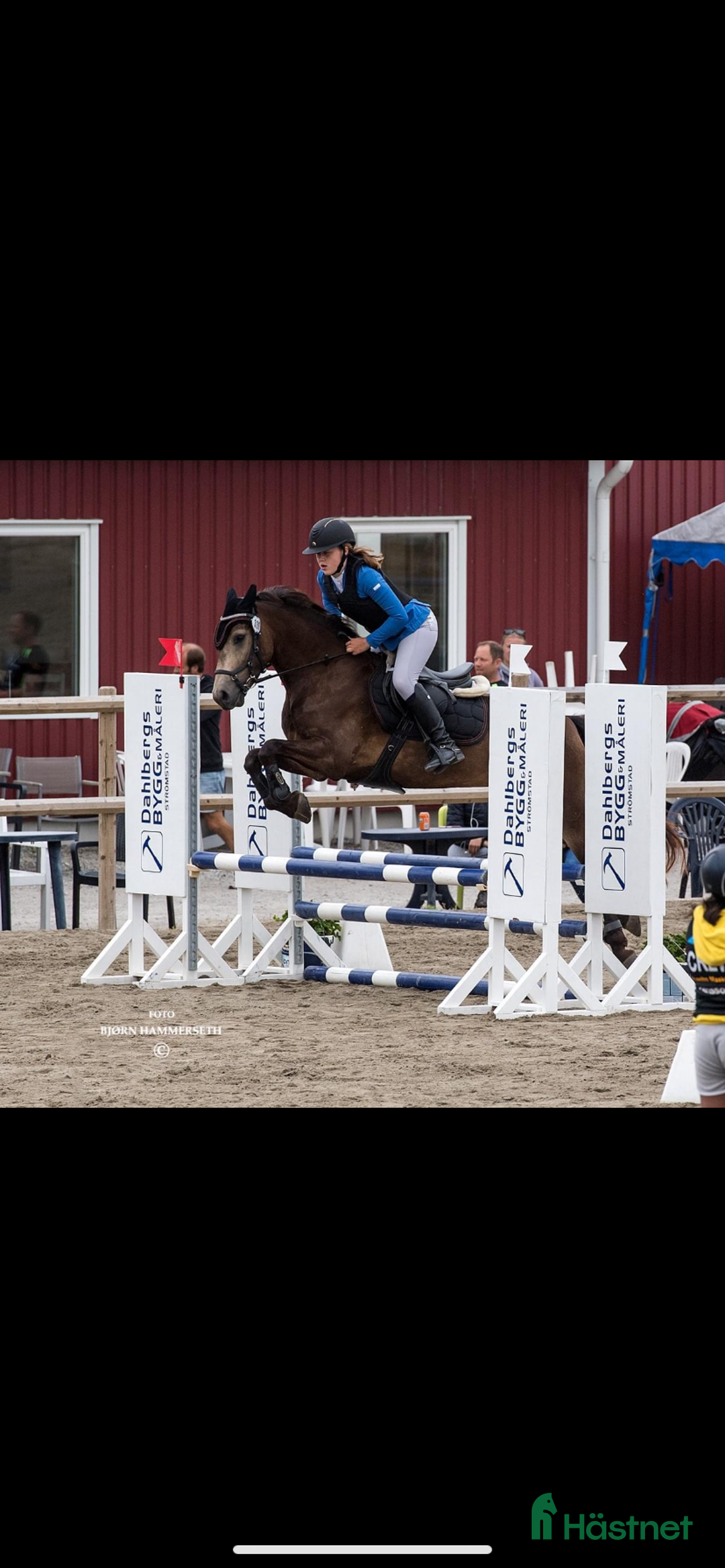  hästjobb finnes: Tillridning  i Munkedal - Annons 2