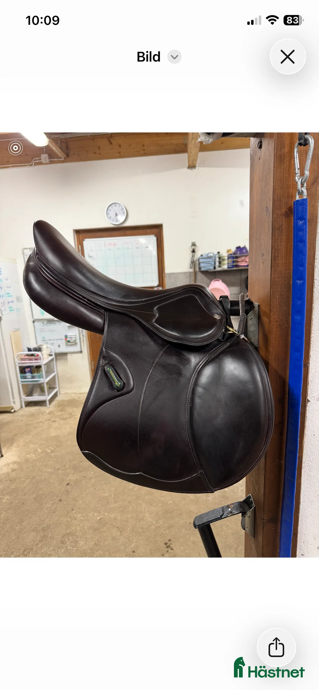 Sadlar hästutrustning till salu: 🦄FYND🦄 Amerigo Dj Largo 17,5”  - Annons 2