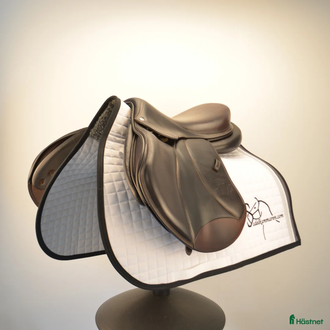 Sadlar hästutrustning till salu: Voltarie Palm Beach i Sparsör - Annons 2