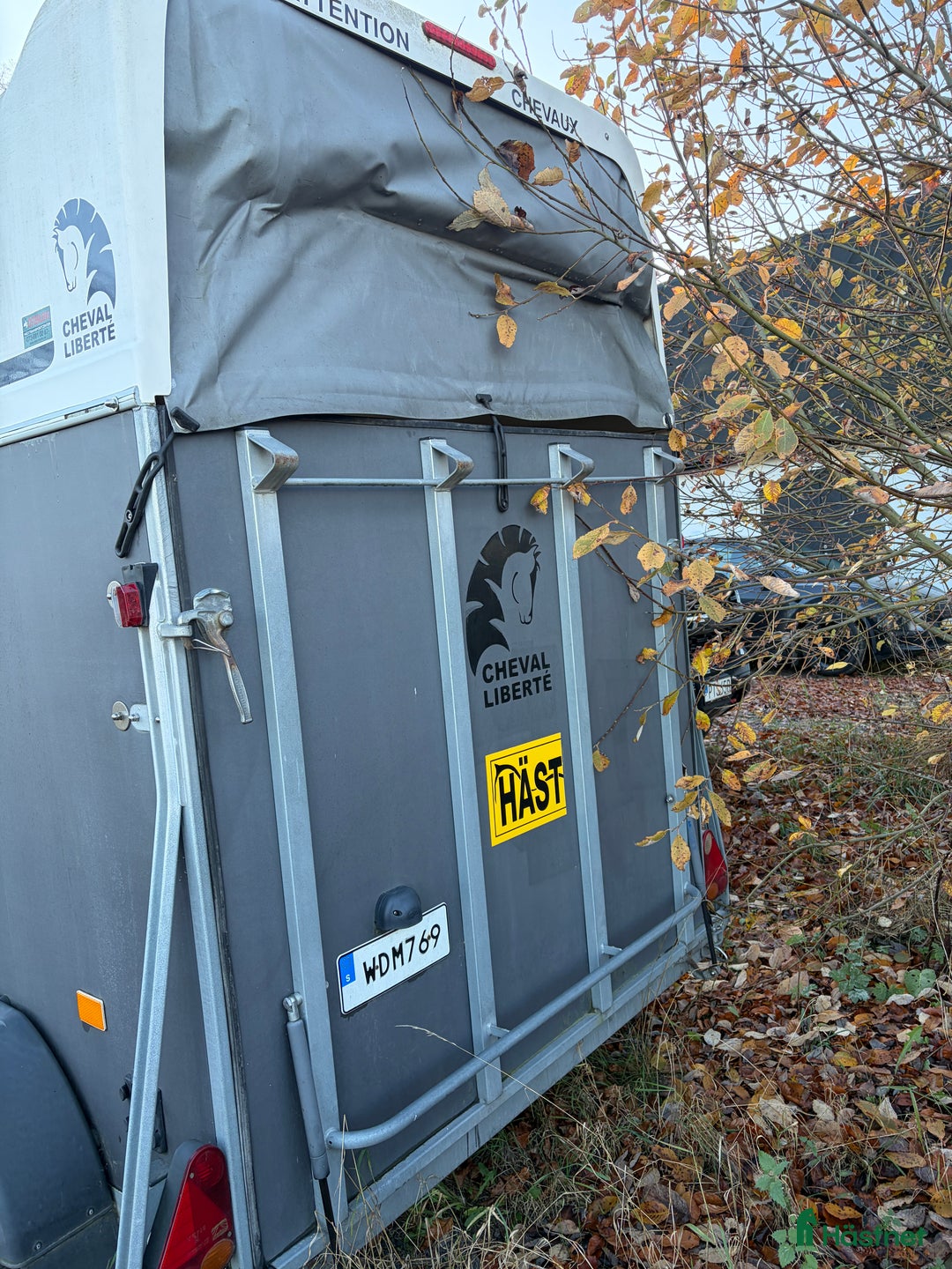 Hästtransporter  fordon & transport till salu: Cheval Liberte Gold Pullman V2 i Allerum - Annons 4