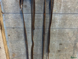 Sadeltillbehör hästutrustning till salu: Stigläder och stigbyglar till island i Gullaskruv - Annons 2