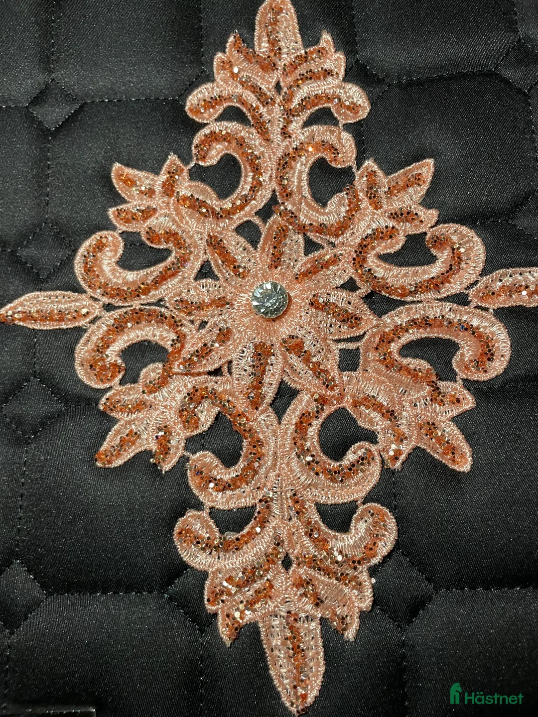 Schabrak & Vojlockar hästutrustning till salu: Fint schabrak och pannband - Annons 6