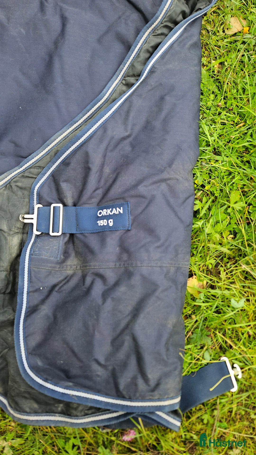 Täcken hästutrustning till salu: Täcken i Älvsbyn - Annons 3