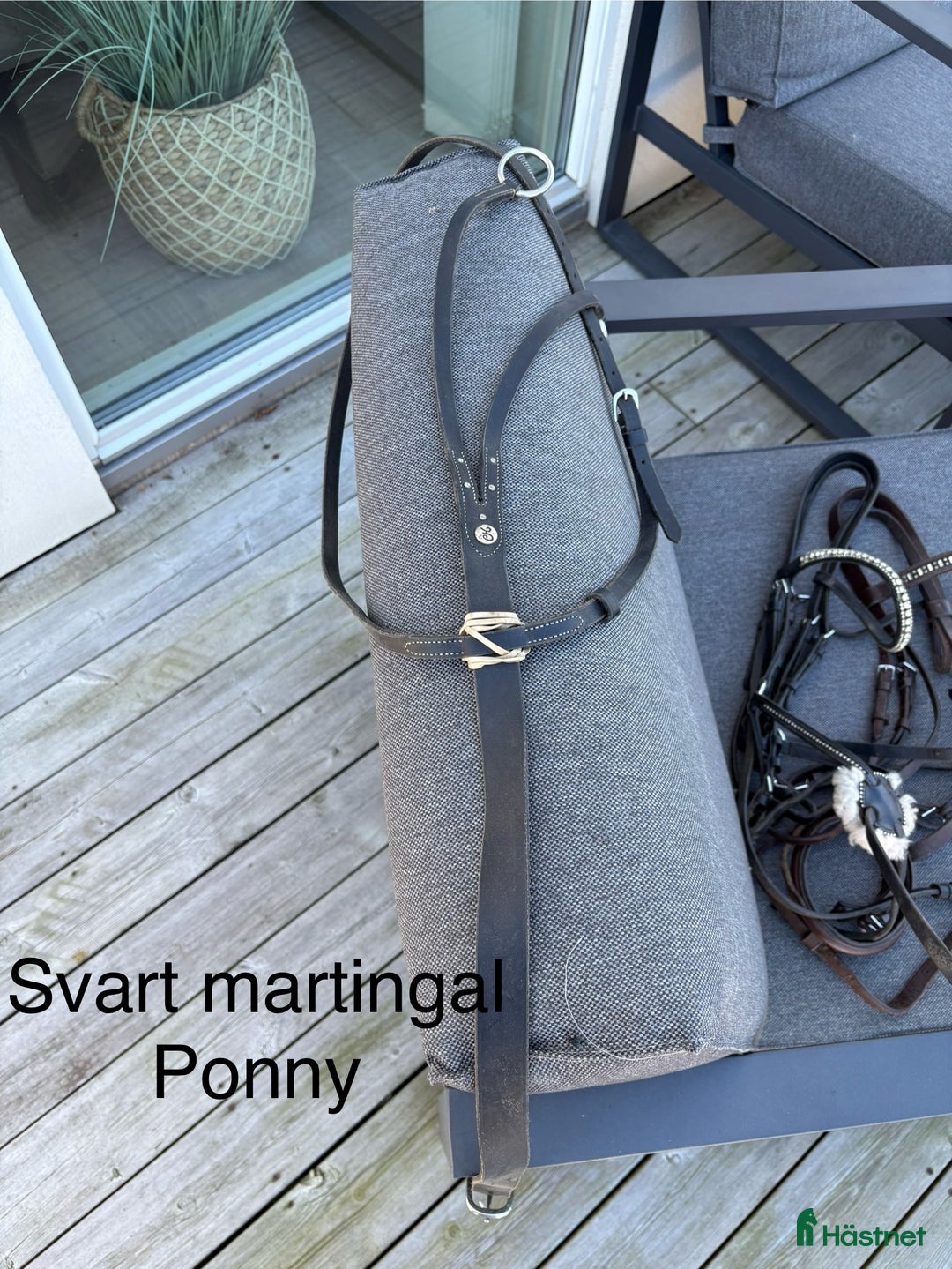 Övrig Hästutrustning hästutrustning till salu: Häst och ponny saker - Annons 12