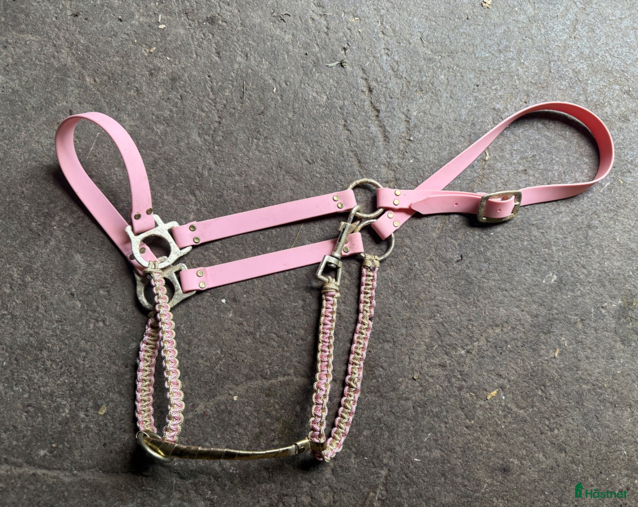 Övrig Hästutrustning hästutrustning Rosa grimma biothane och paracord - Annons 3