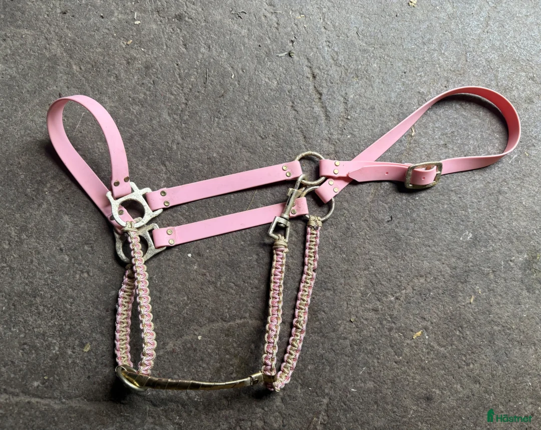 Övrig Hästutrustning hästutrustning till salu: Rosa grimma biothane och paracord - Annons 1