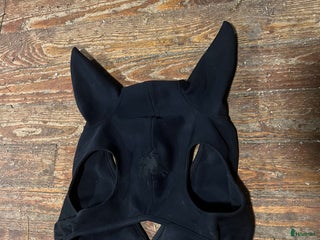 Övrig Hästutrustning hästutrustning till salu: Fenwick med öron i Strömstad - Annons 1